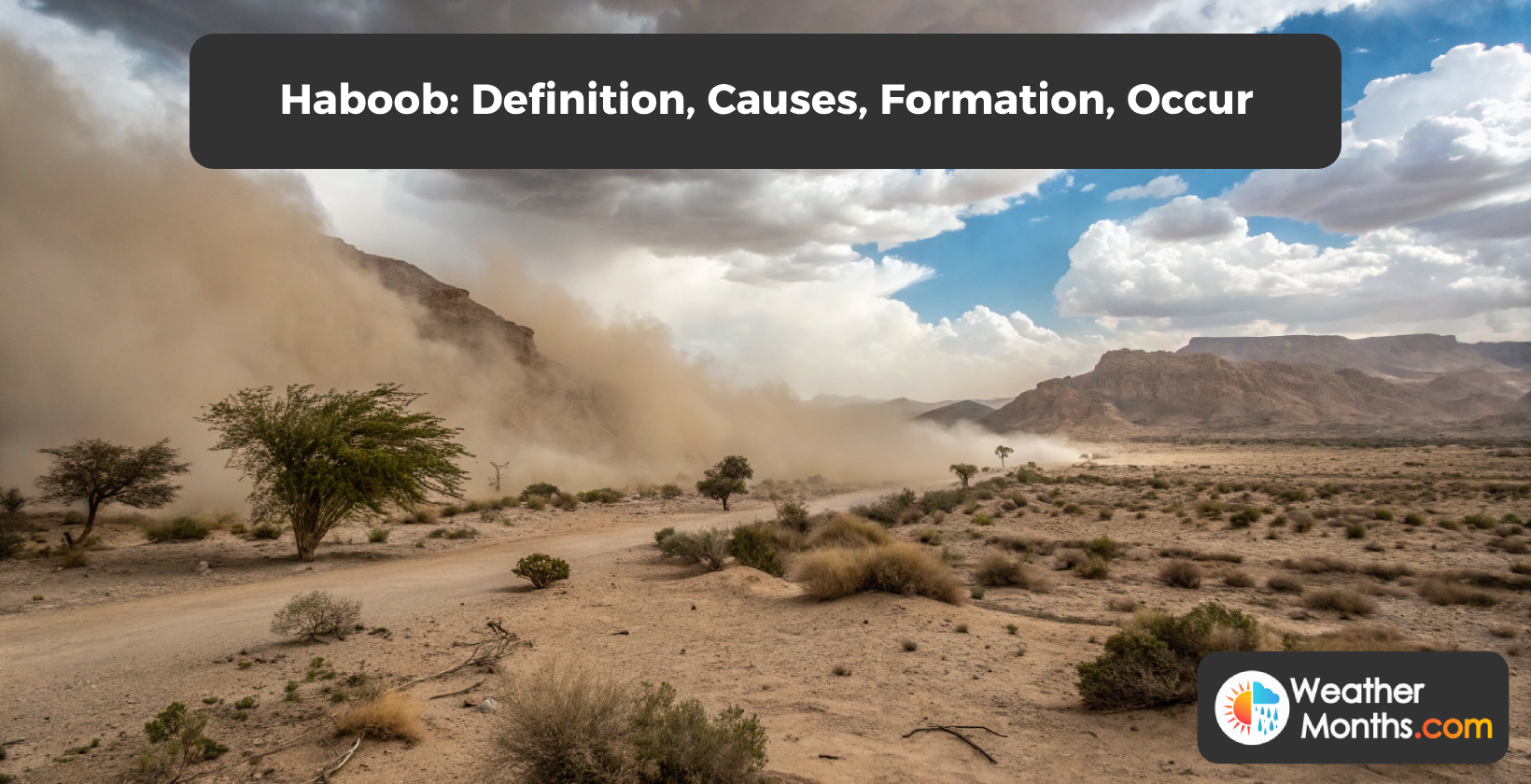 haboob