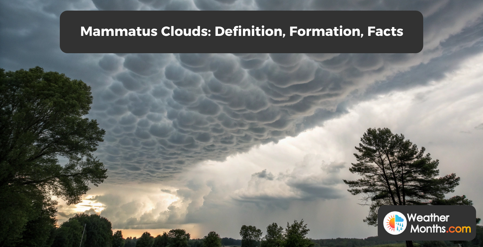 mammatus clouds